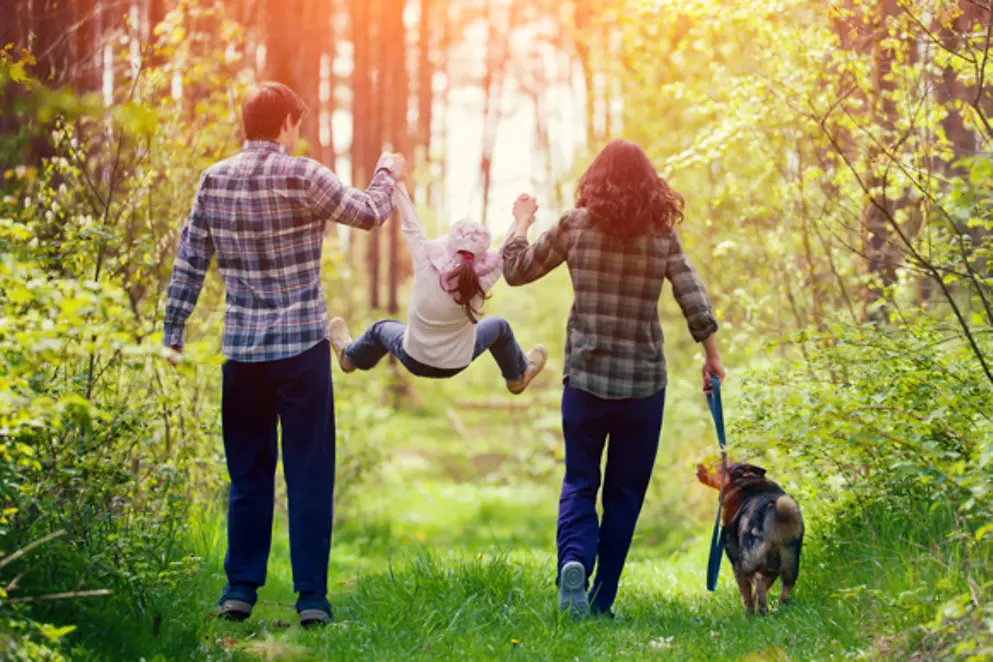 Ein Parr mit Kind geht im Wald spazieren